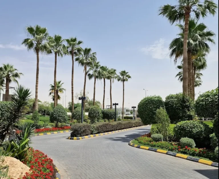 13 Best Neighbourhoods for Expats in Riyadh 23