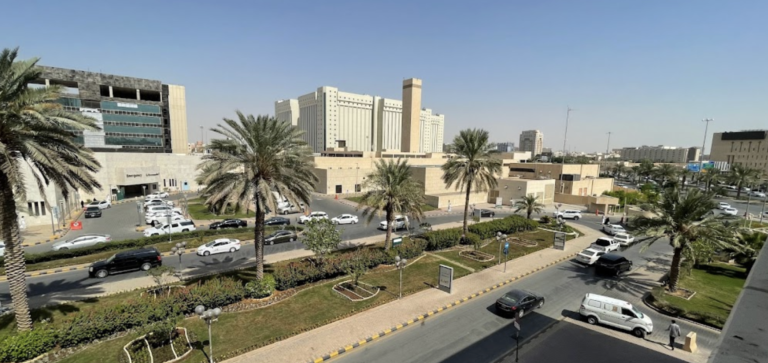 13 Best Neighbourhoods for Expats in Riyadh 7
