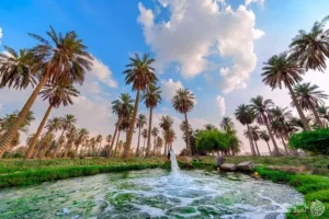 8 Best Day Trip Ideas from Riyadh